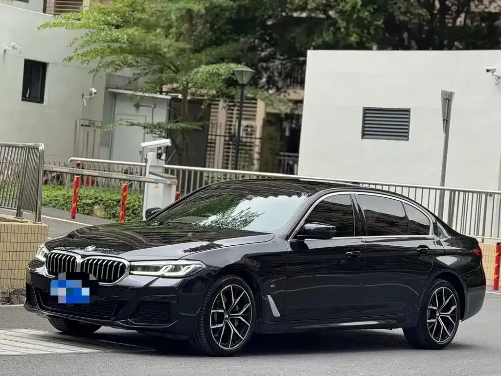 BMW 5 Series 2021 из CN, фото 9