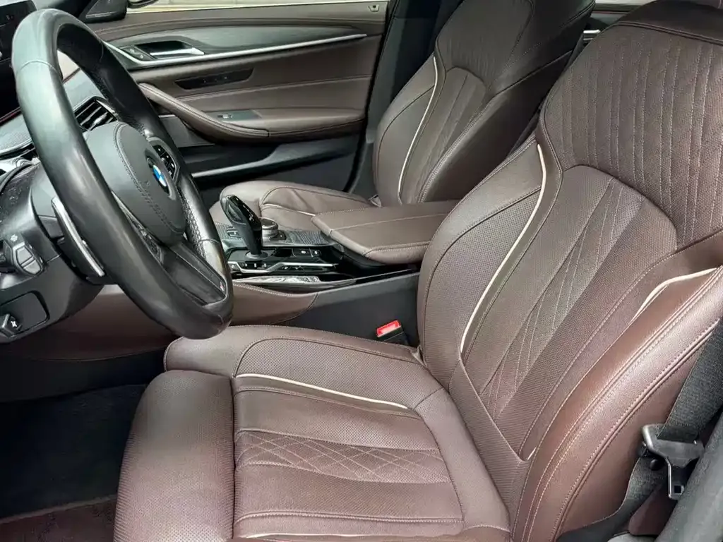 BMW 5 Series 2021 из CN, фото 2