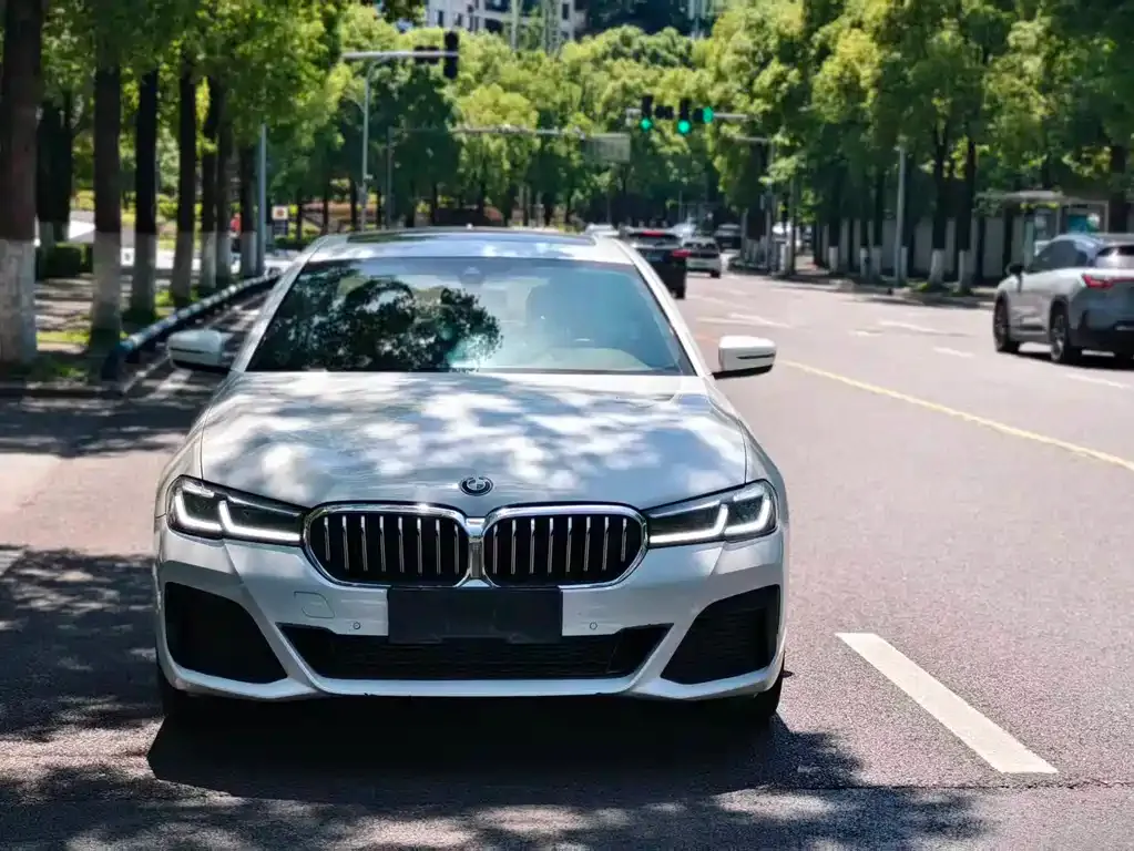 BMW 5 Series 2021 из CN, фото 5