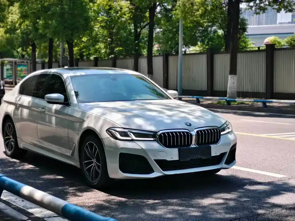 BMW 5 Series 2021 из CN, фото 6