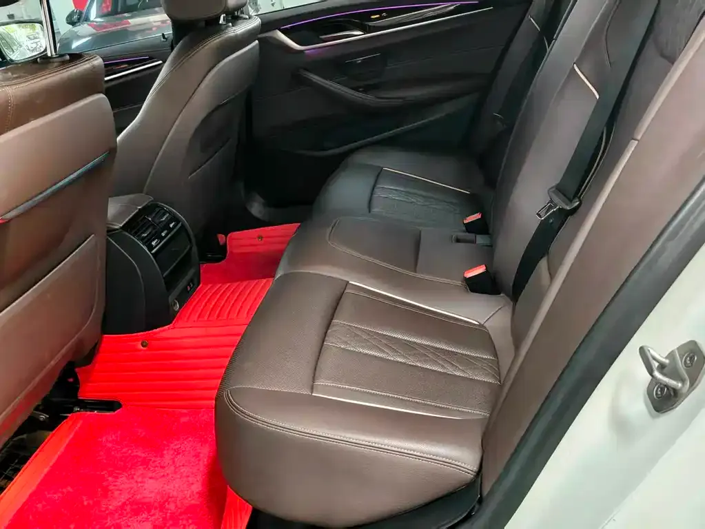 BMW 5 Series 2021 из CN, фото 9
