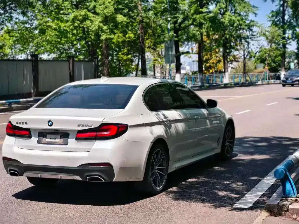 BMW 5 Series 2021 из CN, фото 7
