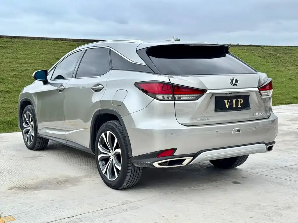 Lexus RX 2022 из CN, фото 5