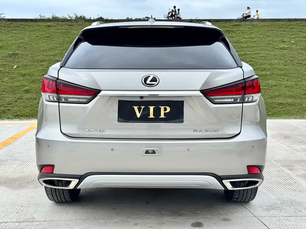 Lexus RX 2022 из CN, фото 4
