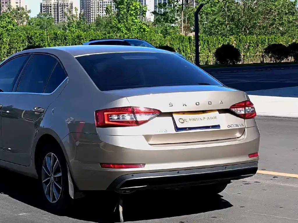 Skoda Octavia 2021 из CN, фото 6