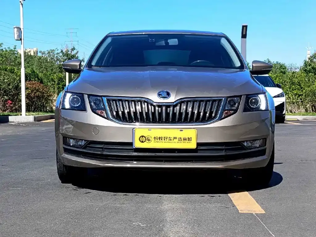 Skoda Octavia 2021 из CN, фото 7