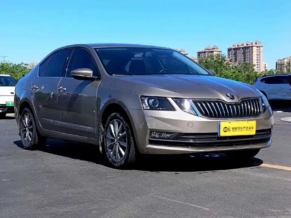 Skoda Octavia 2021 из CN, фото 8