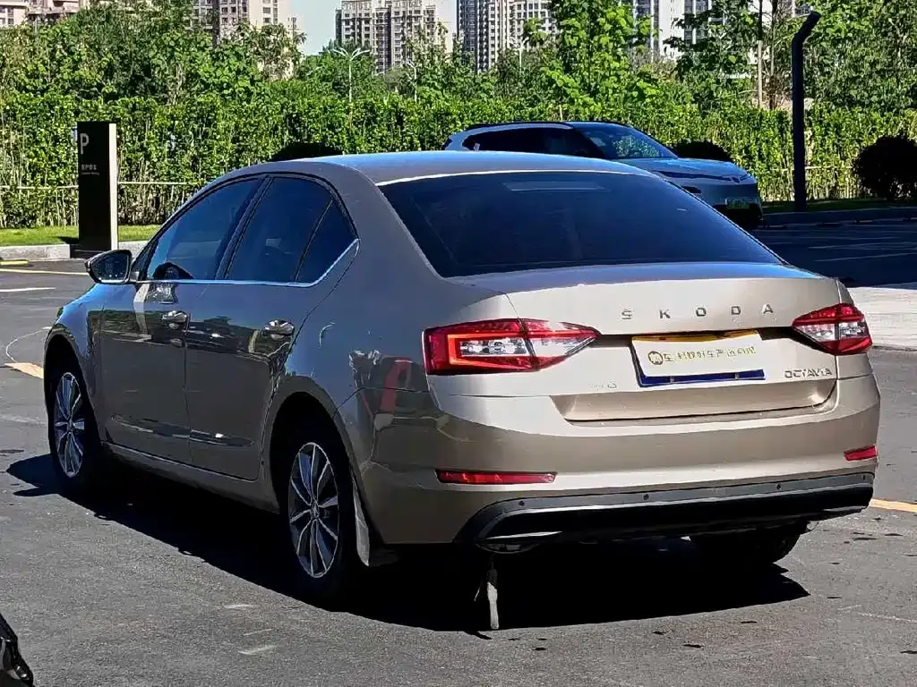 Skoda Octavia 2021 из CN, фото 3