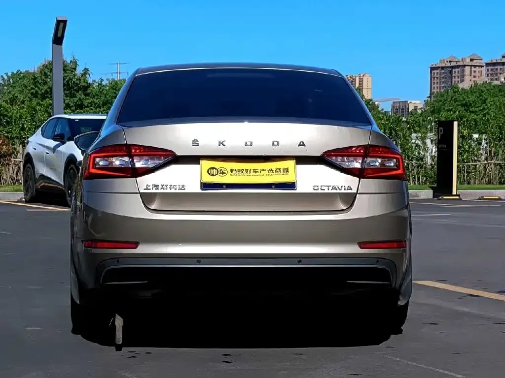 Skoda Octavia 2021 из CN, фото 2