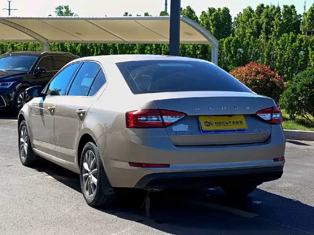 Skoda Octavia 2021 из CN, фото 9
