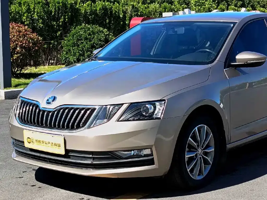 Skoda Octavia 2021 из CN, фото 10