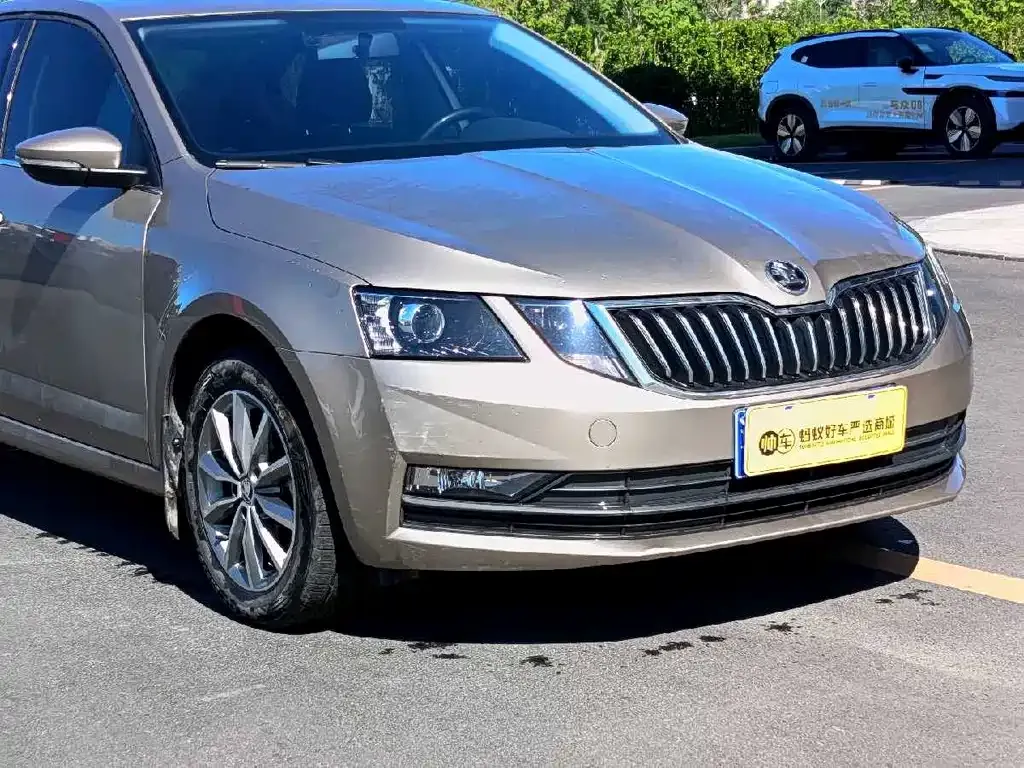 Skoda Octavia 2021 из CN, фото 4