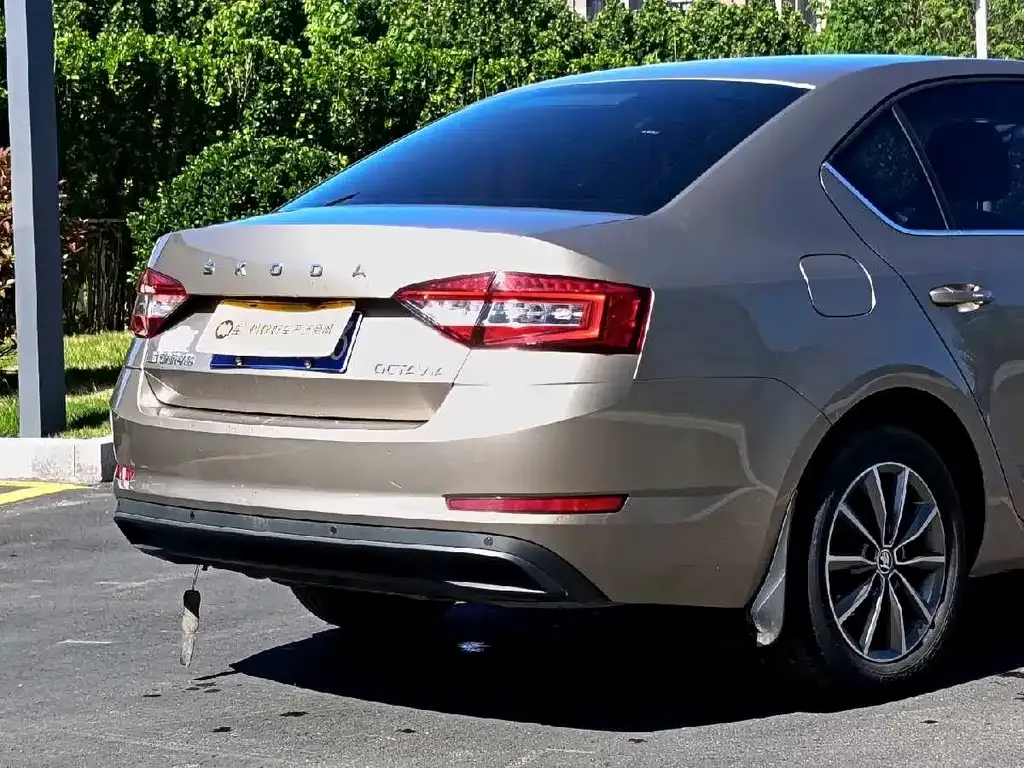 Skoda Octavia 2021 из CN, фото 5