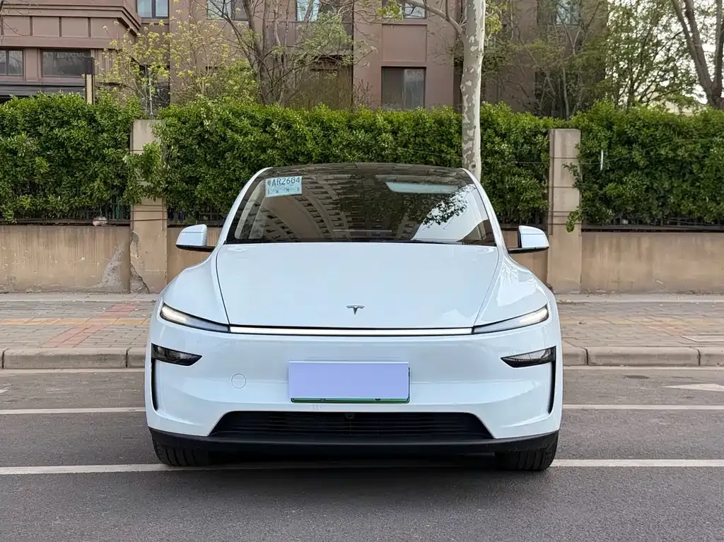 Tesla Model Y — фото 8
