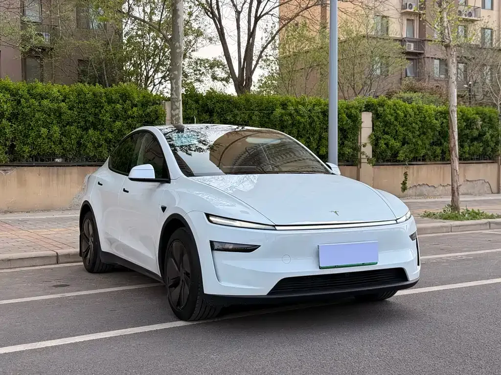 Tesla Model Y — фото 7