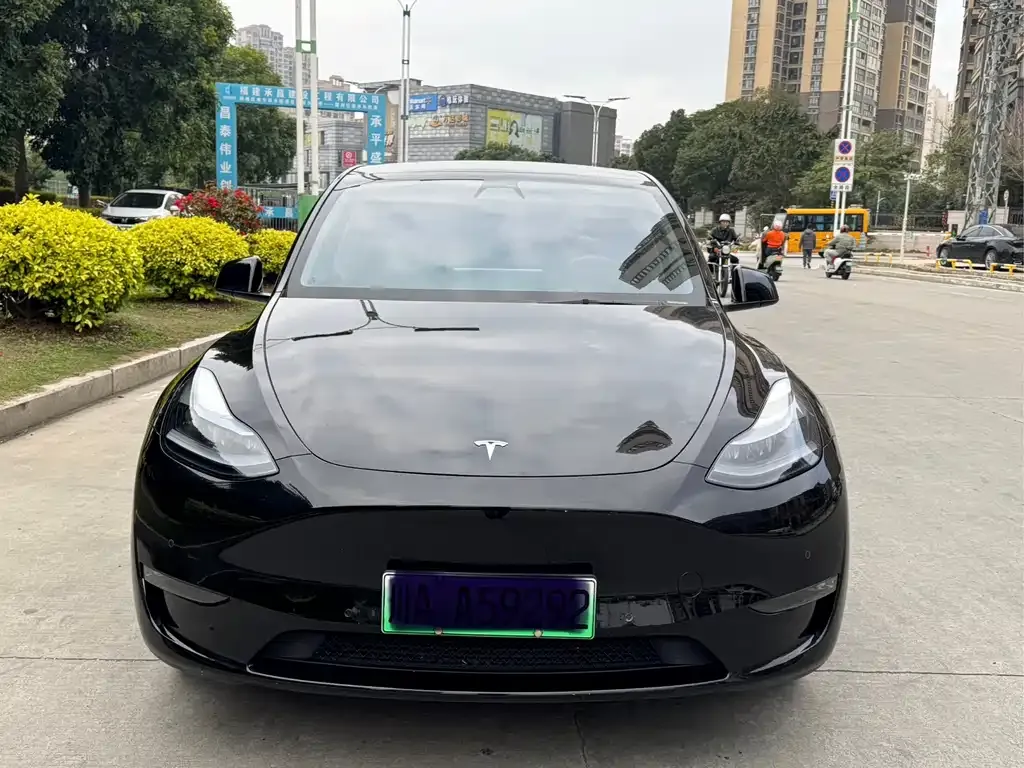 Tesla Model Y — фото 1