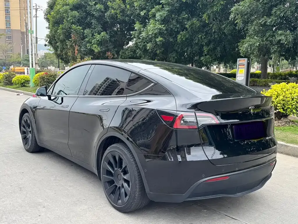 Tesla Model Y — фото 3