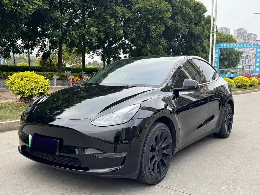 Tesla Model Y — фото 10