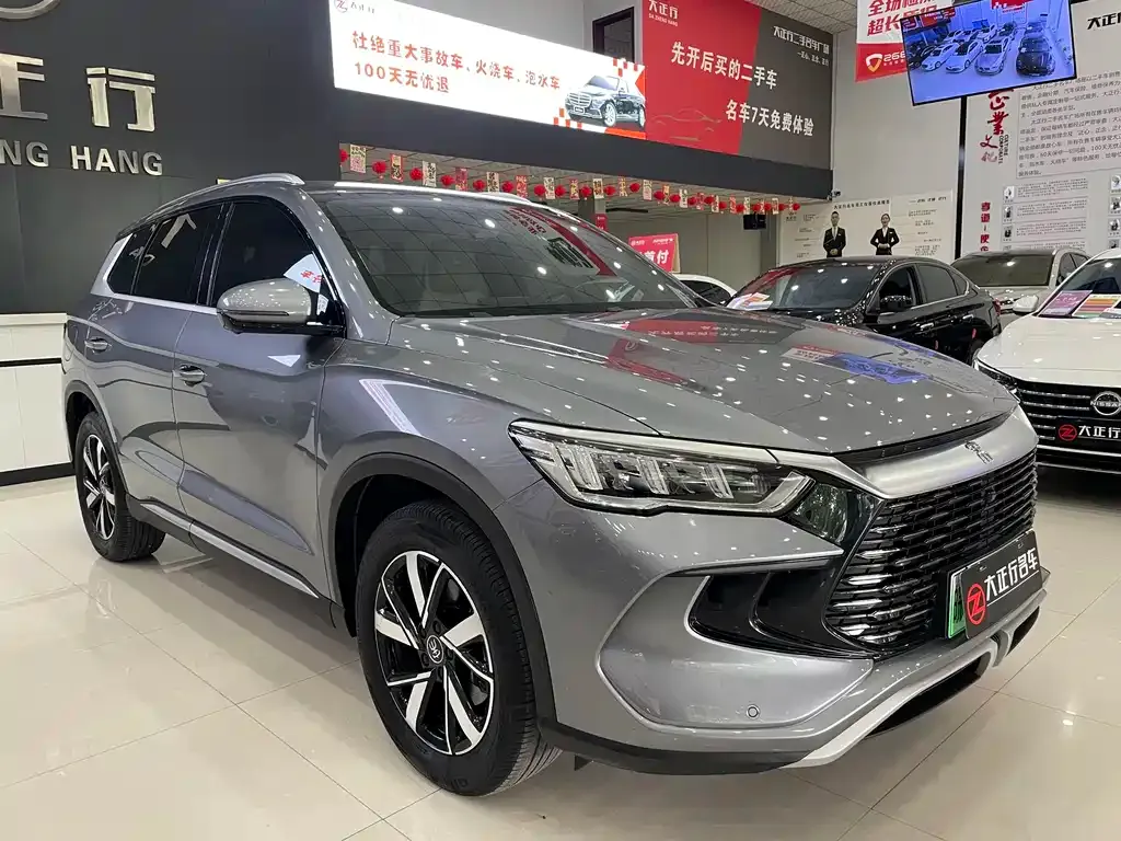 BYD Pro New Energy — фото 9