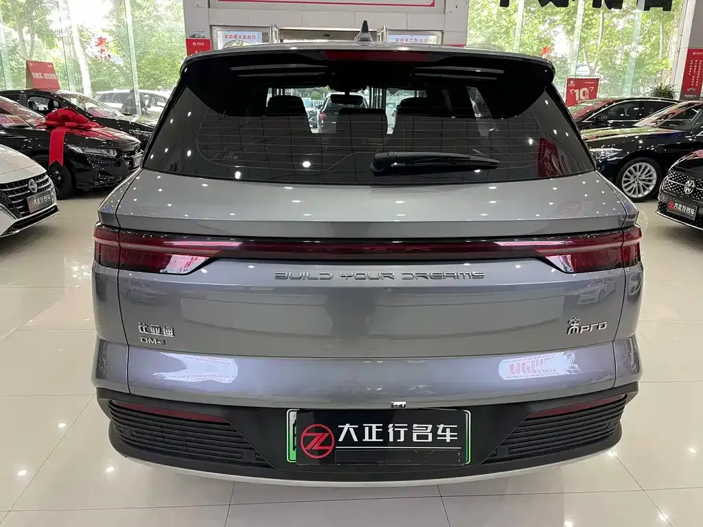 BYD Pro New Energy — фото 3