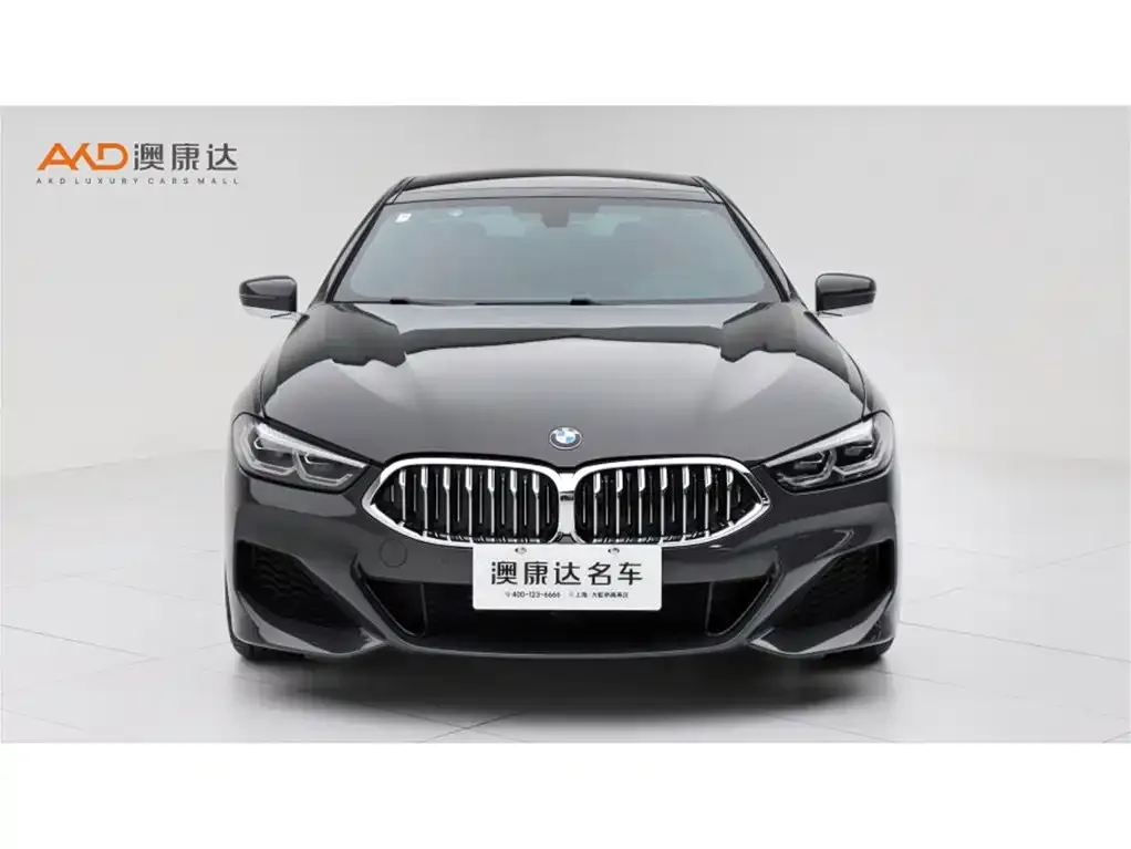 BMW 8 Series 2022 из CN, фото 9