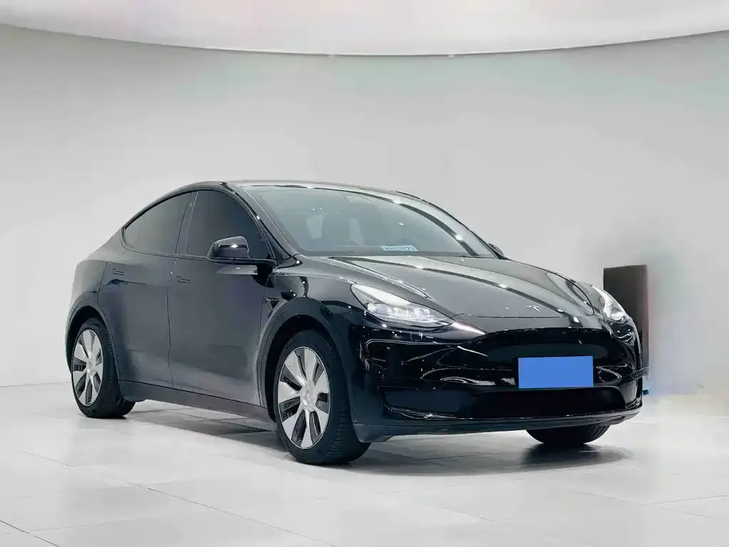 Tesla Model Y 2023 из CN, фото 1
