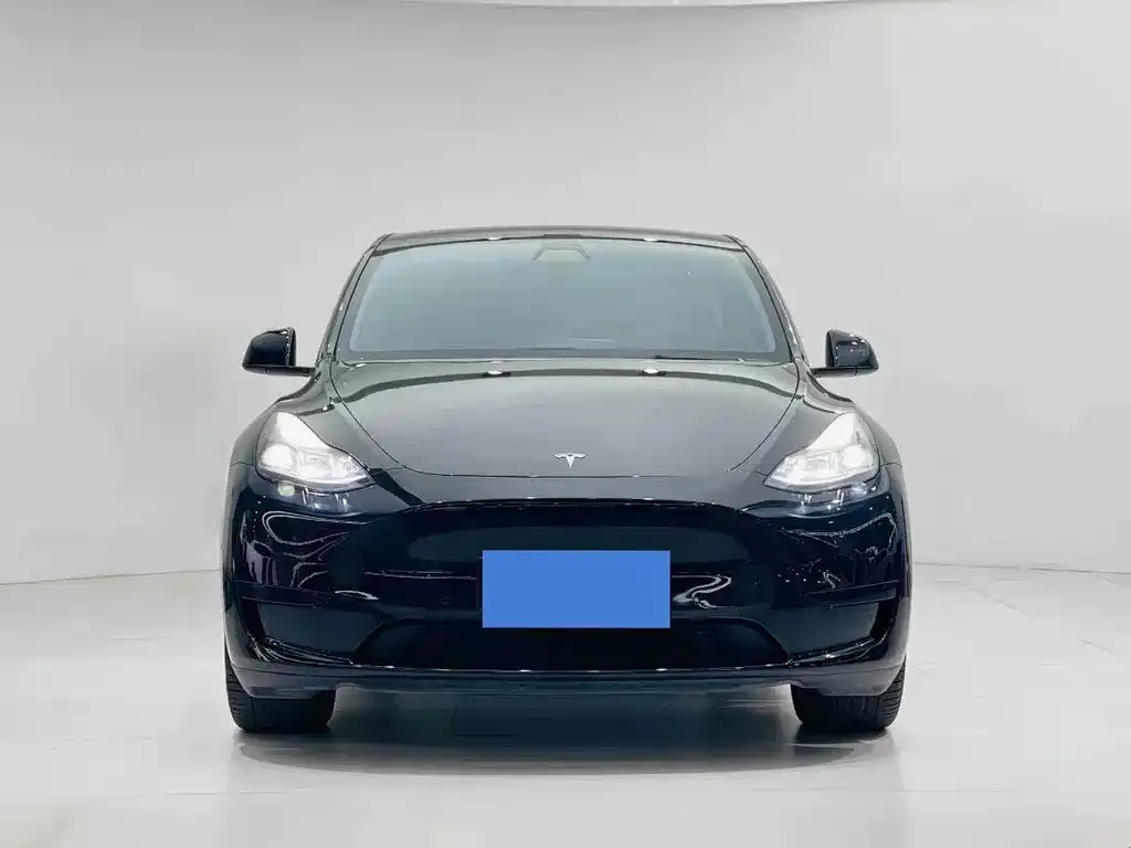 Tesla Model Y 2023 из CN, фото 5