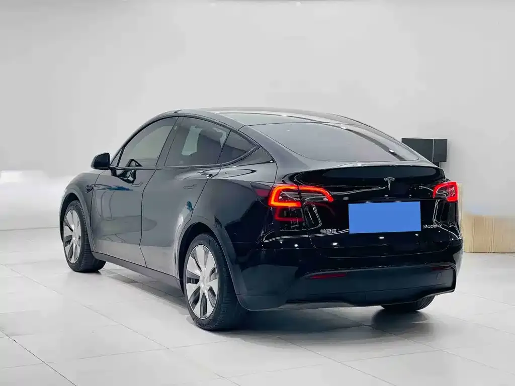 Tesla Model Y 2023 из CN, фото 2