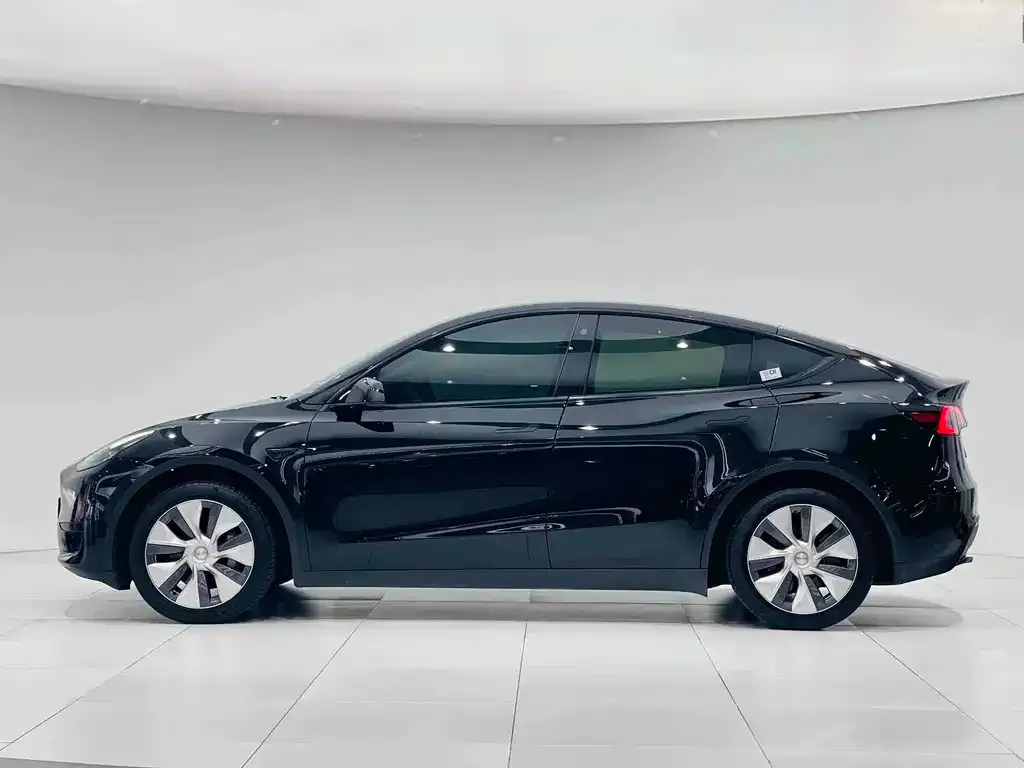 Tesla Model Y 2023 из CN, фото 6