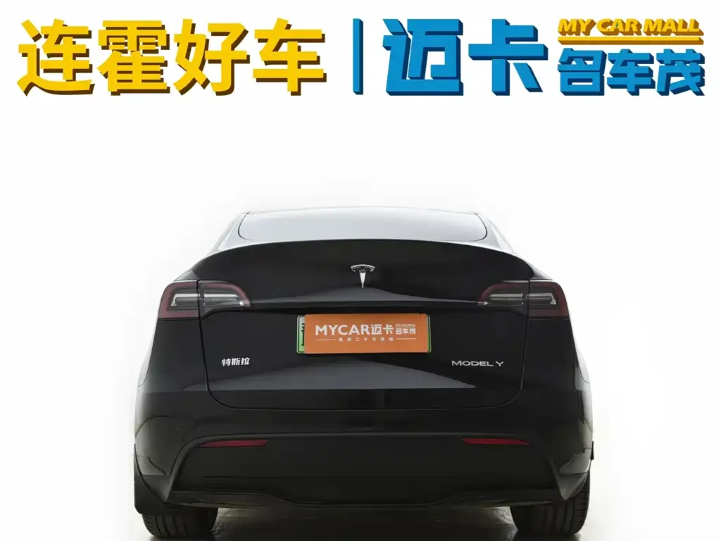 Tesla Model Y — фото 10