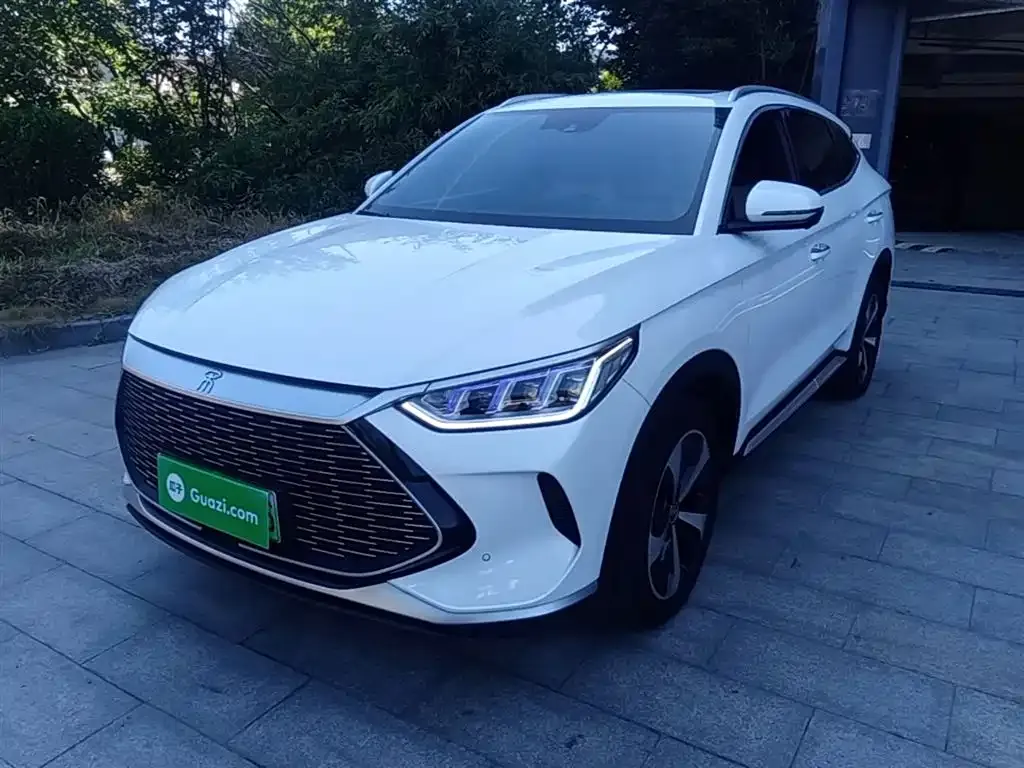 BYD PLUS New Energy — фото 8