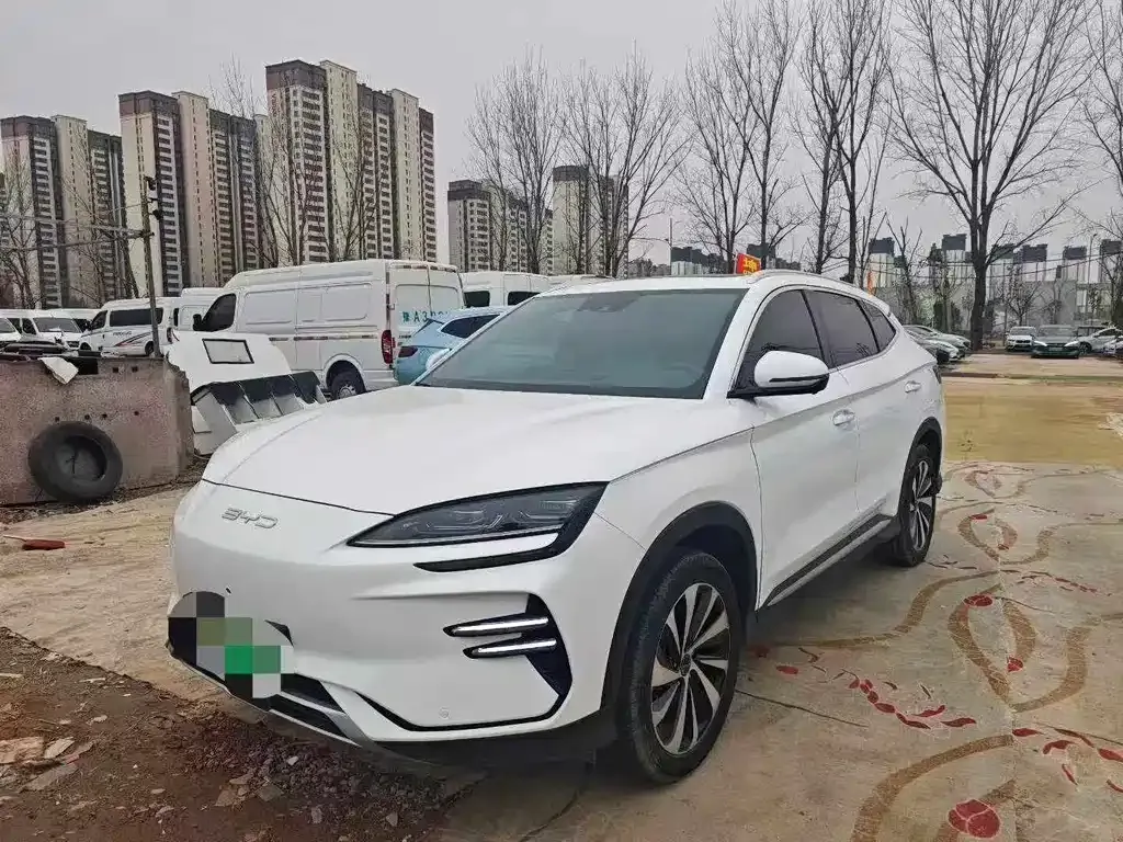 BYD PLUS New Energy — фото 4
