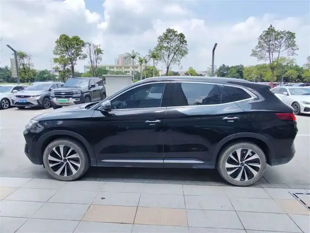 BYD PLUS New Energy 2024 из CN, фото 2