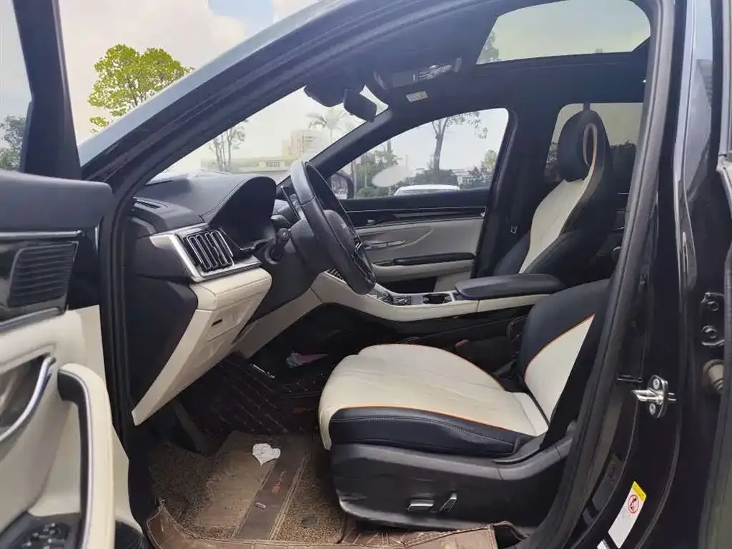 BYD PLUS New Energy 2024 из CN, фото 8