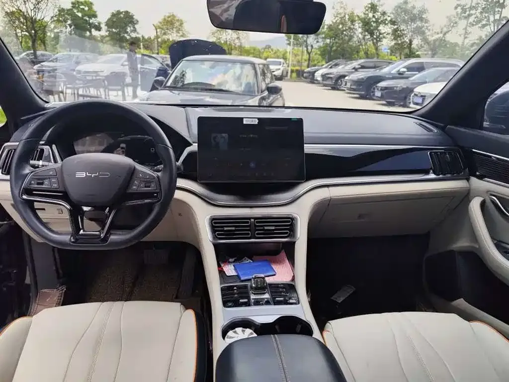 BYD PLUS New Energy 2024 из CN, фото 5