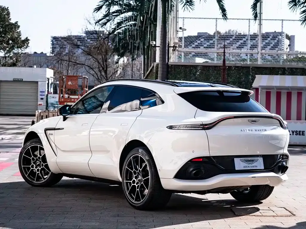 Aston Martin DBX 2021 из CN, фото 5