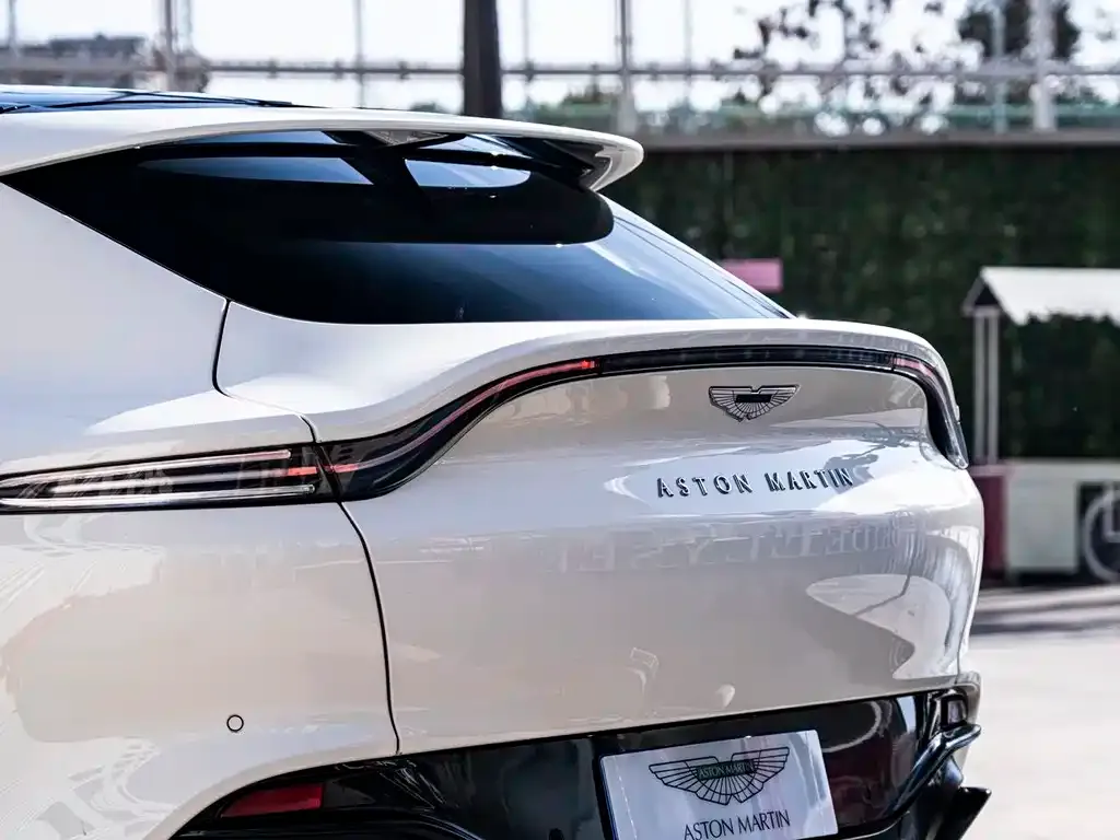 Aston Martin DBX 2021 из CN, фото 10