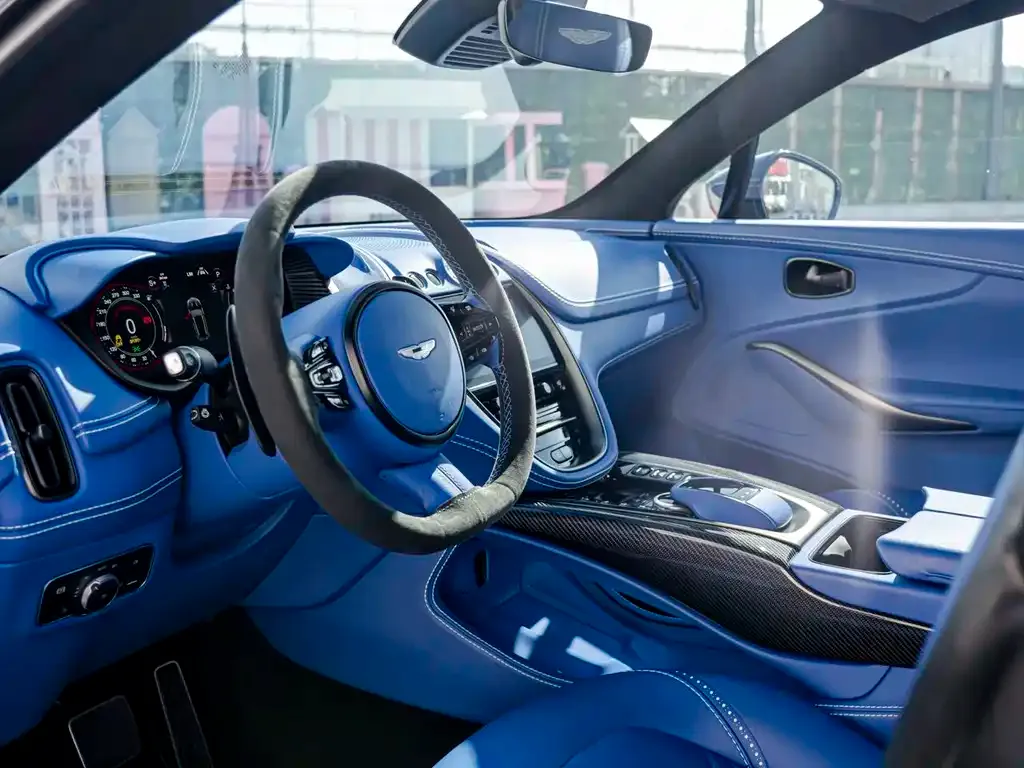 Aston Martin DBX 2021 из CN, фото 8