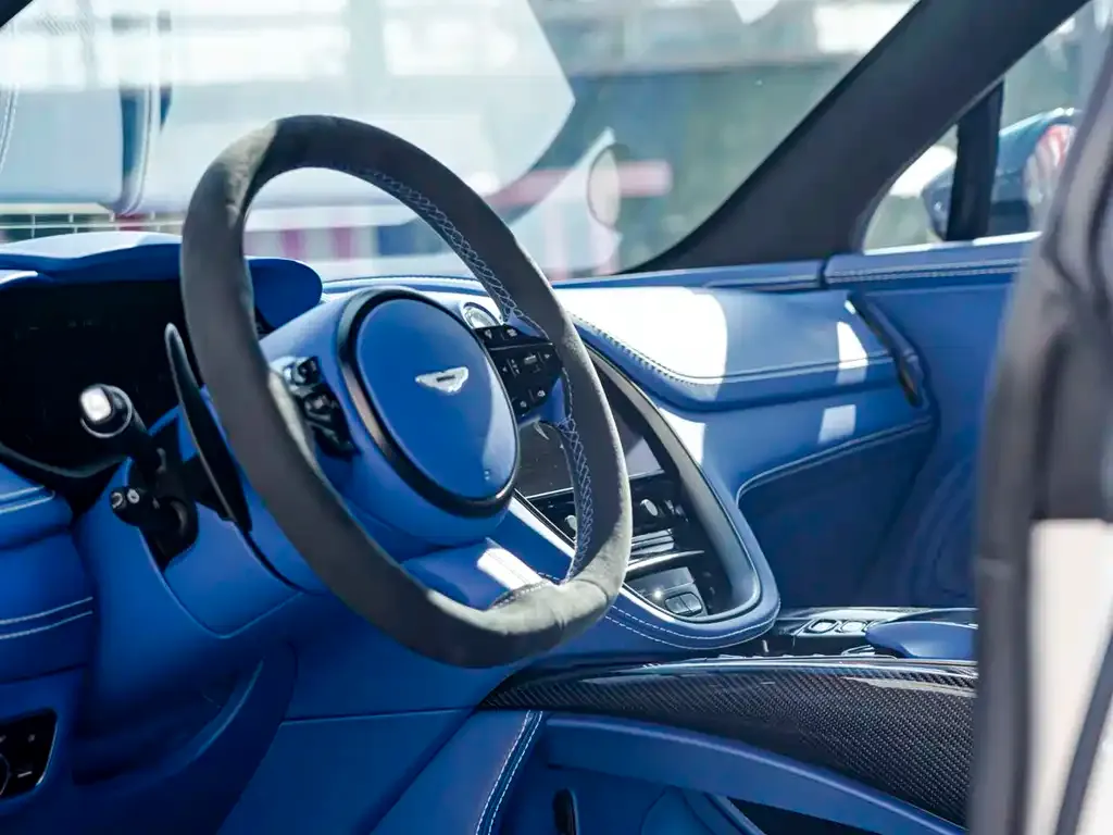 Aston Martin DBX 2021 из CN, фото 6