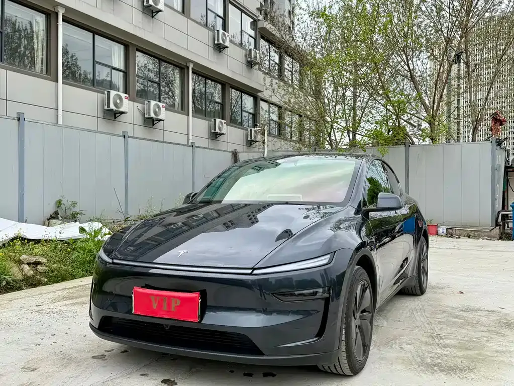 Tesla Model Y — фото 1