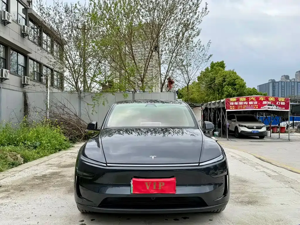 Tesla Model Y — фото 9