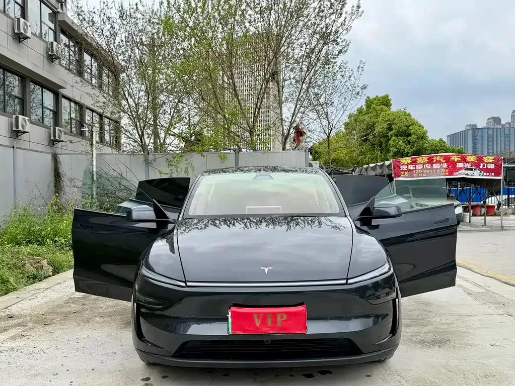 Tesla Model Y — фото 10
