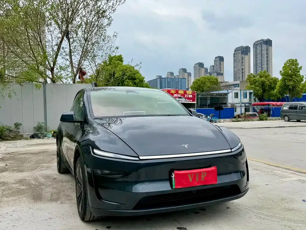 Tesla Model Y — фото 6