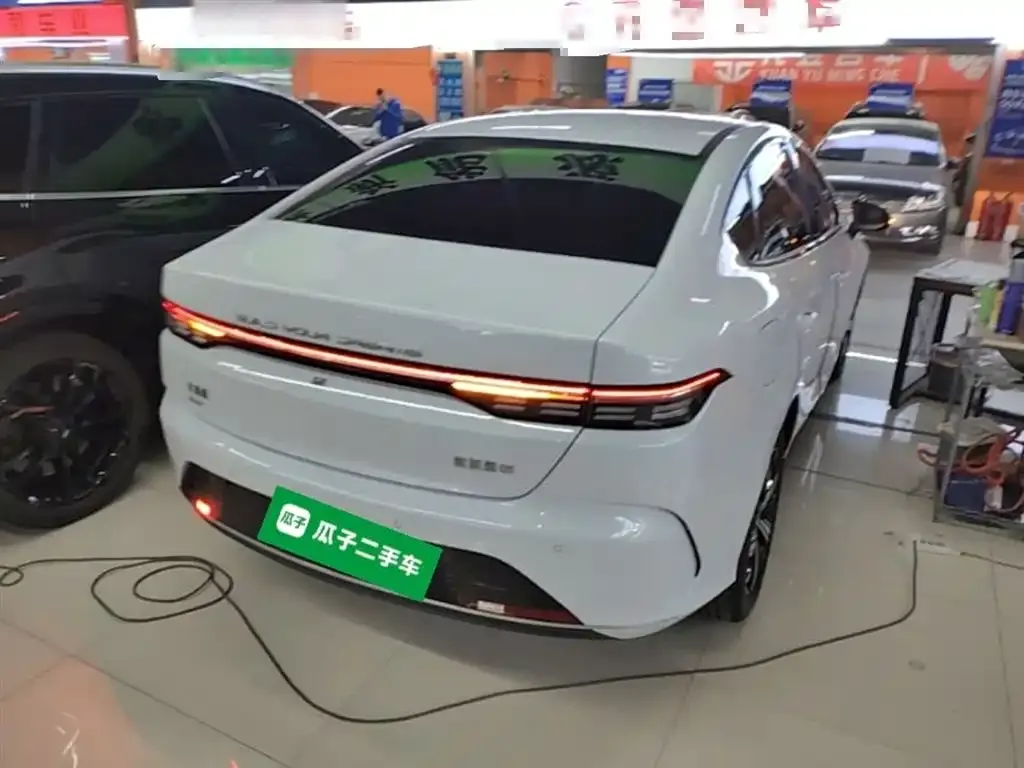 BYD Destroyer 05 2024 из CN, фото 4
