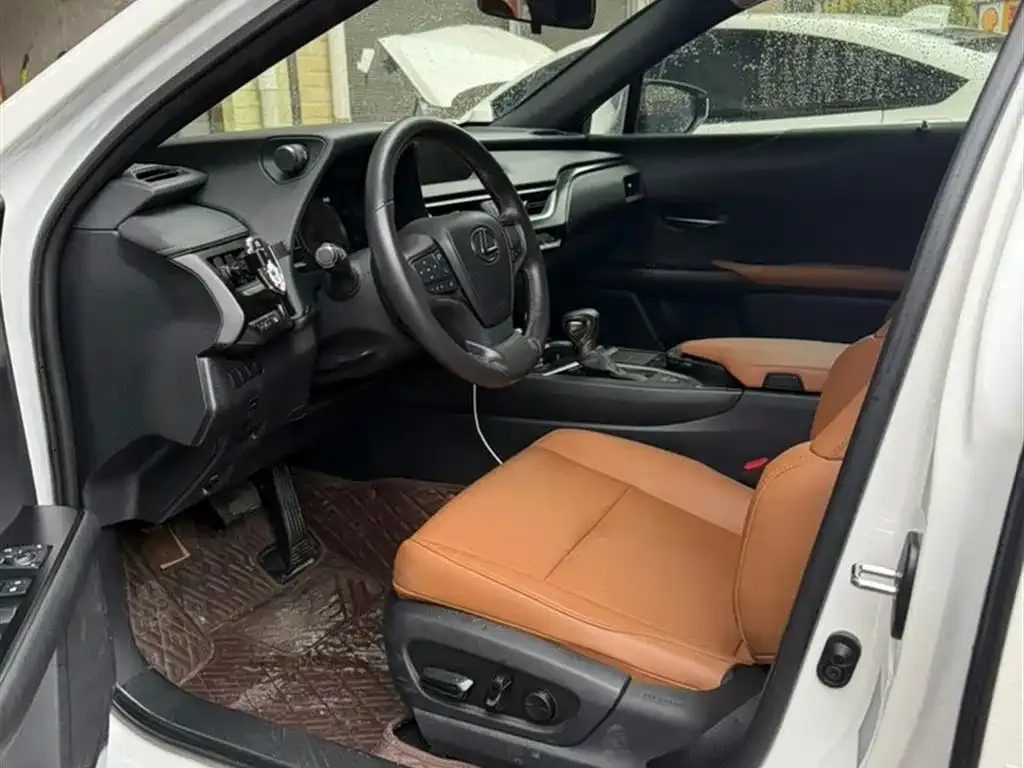 Lexus UX 2021 из CN, фото 8