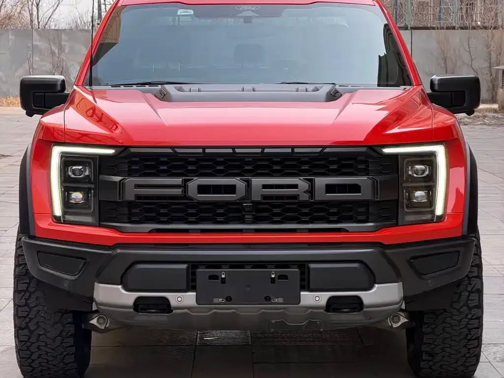 Ford F-150 Raptor 2023 из CN, фото 10