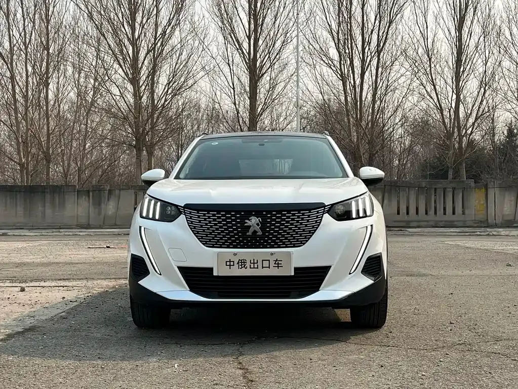 Peugeot 2008 2022 из CN, фото 9