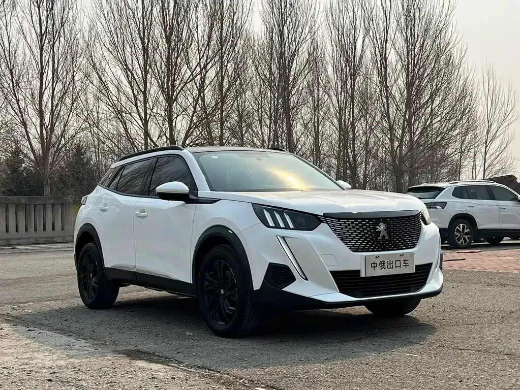 Peugeot 2008 2022 из CN, фото 8