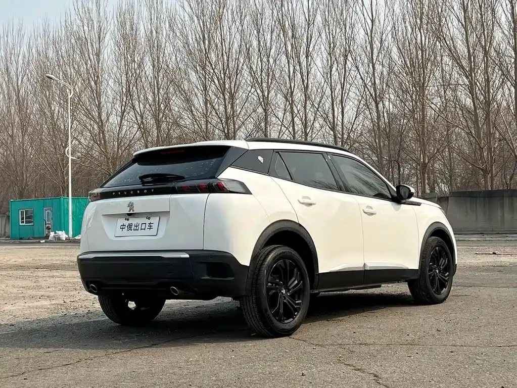 Peugeot 2008 2022 из CN, фото 7