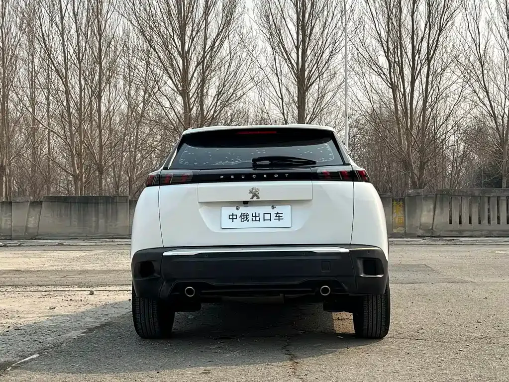 Peugeot 2008 2022 из CN, фото 10